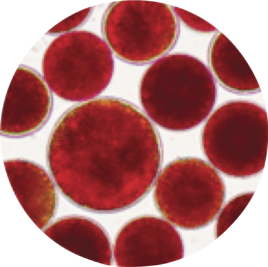 Astaxanthin